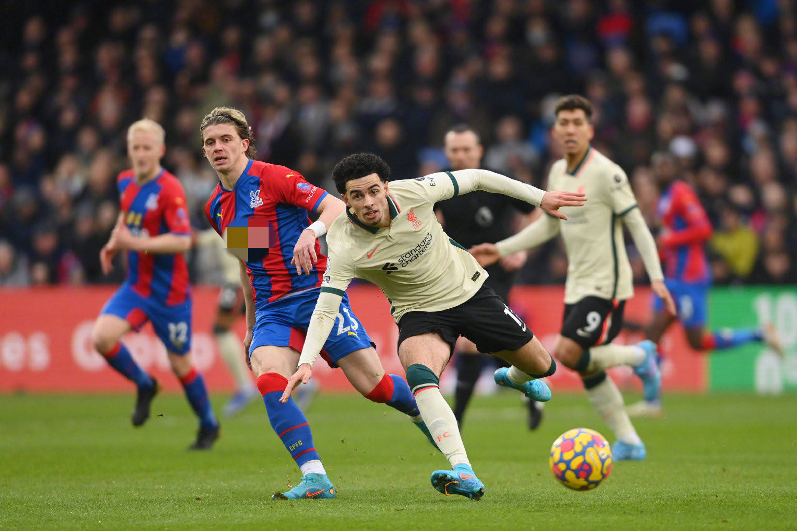 浦和红钻 浦和红钻