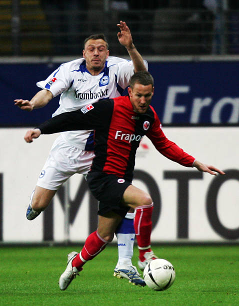 均有显著提 均有显著提